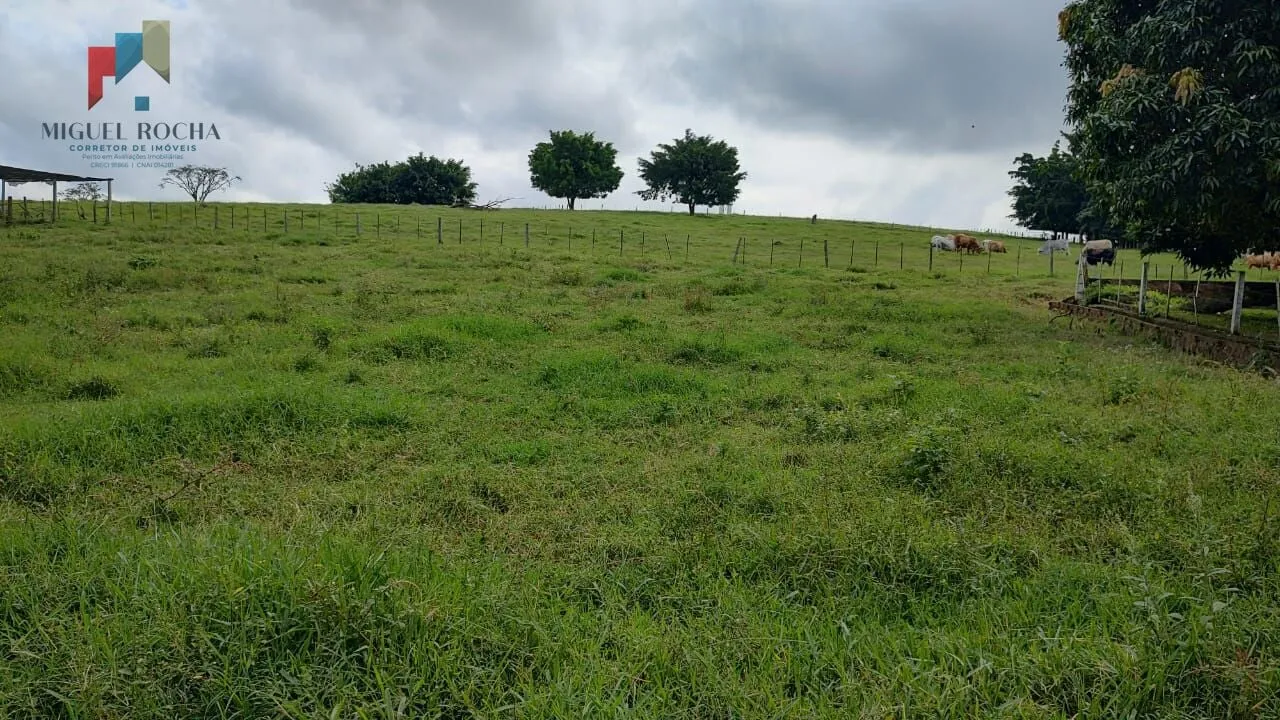 Imagem Fazenda região Itapetininga SP