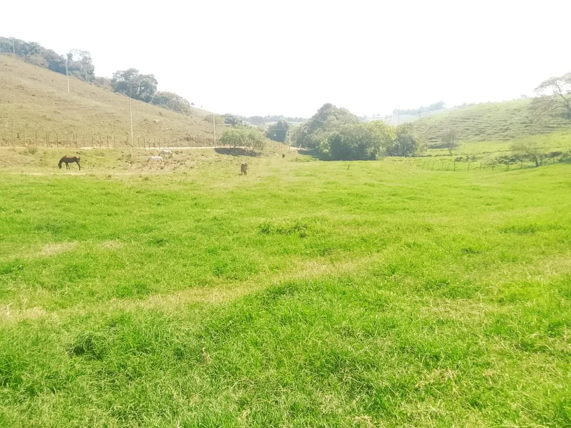 Imagem TERRENO À VENDA EM RIO MANSO/MG | 11,7 HECTARES