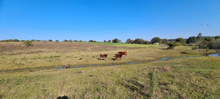 Imagem Sitio Rural com 10.8 hectares, Aguadas, Costa do Oveiro, Viamão/RS