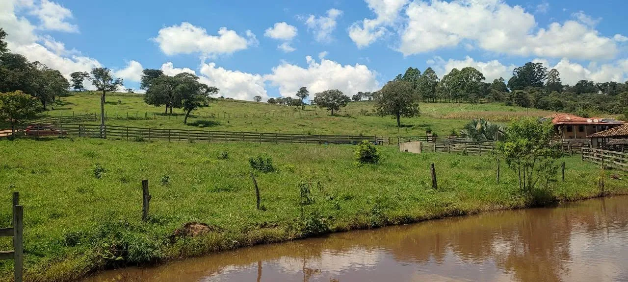 Imagem vendo um belo sítio em Piedade dos Gerais /MG com 12 hectares de terra ( 120.000 m² ),
