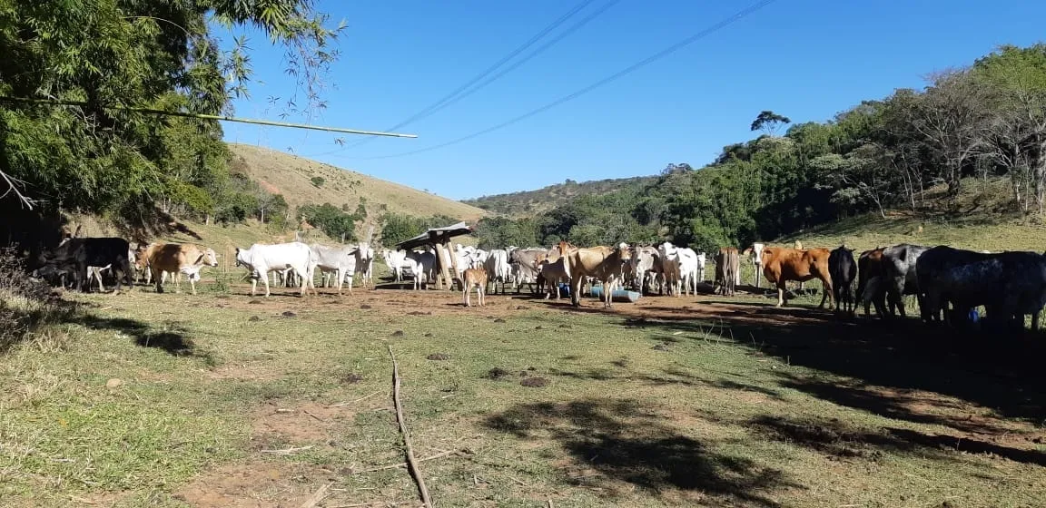 Imagem Chácara à venda 484000M², Cruz Pequena, Pindamonhangaba - SP