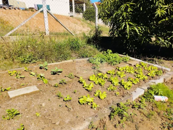 Imagem CHÁCARA JARDIM CANANÉIA