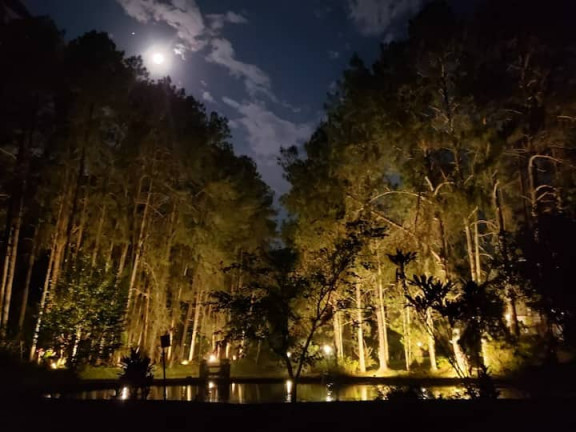 Imagem Chácara com 5 Quartos à Venda, 20.000 m² em Prado - Nova Friburgo