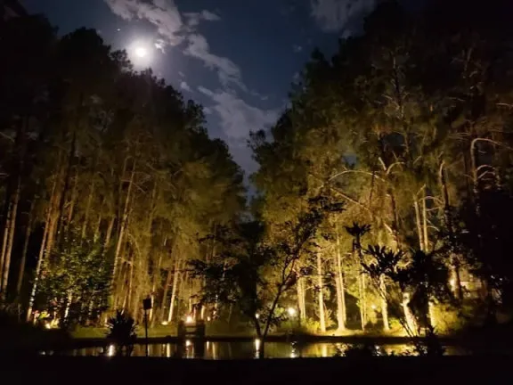 Imagem Chácara com 5 Quartos à Venda, 20.000 m² em Prado - Nova Friburgo
