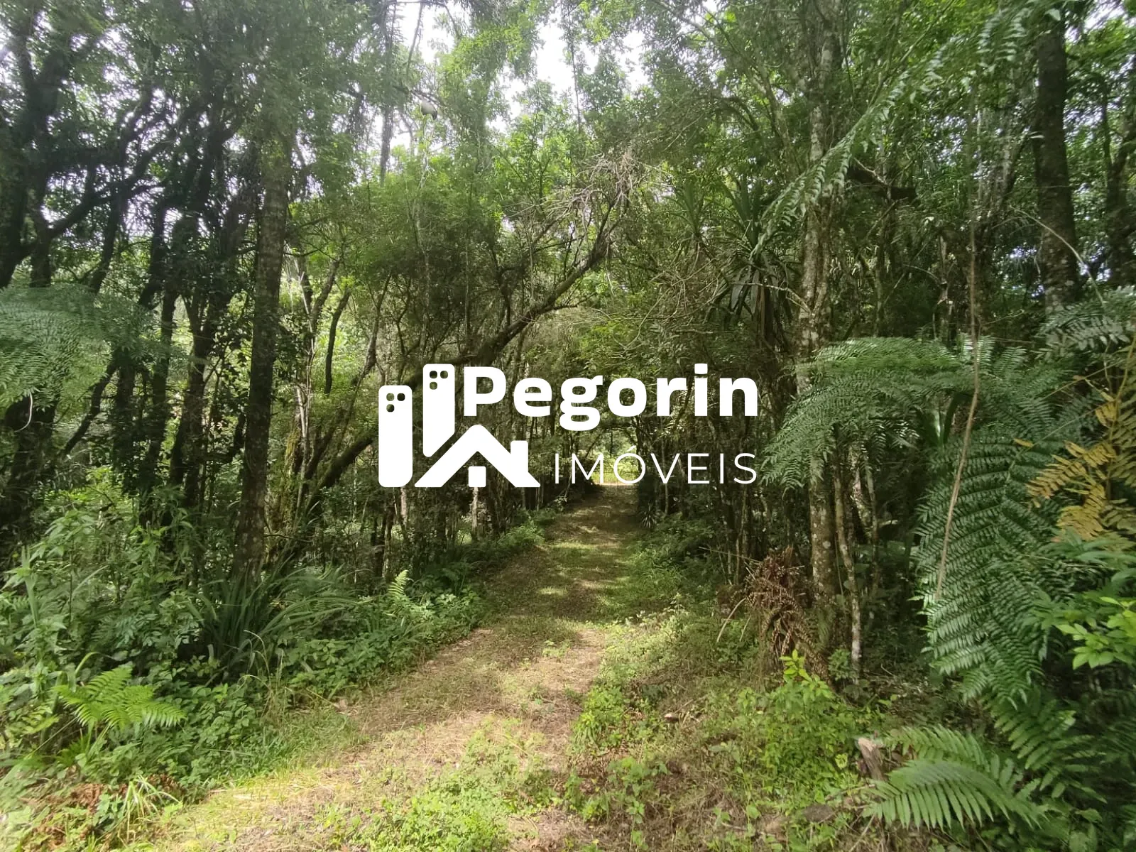 CHÁCARA EM CAMPO MAGRO 51.000M² em Estrada da Conceição da Meia Lua