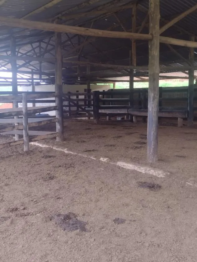 Imagem Excelente fazenda com 194 hectares de terra de cultura disponível para venda