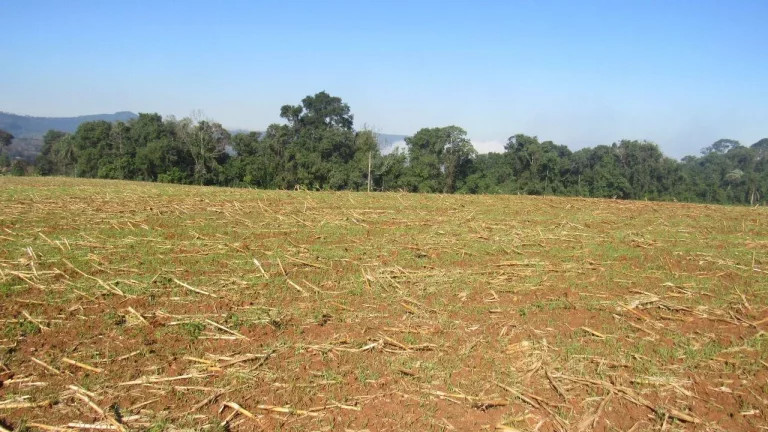 Imagem Terreno para Venda em Concórdia, Santo Antônio