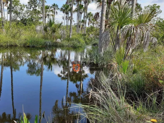 Imagem Fazenda à venda, 1370ha m² por R$ 14.200.000 - Zona Rural - Arinos/MG