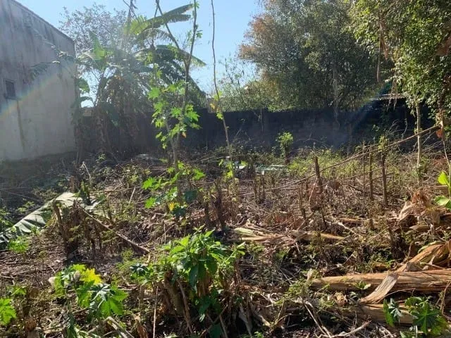 Imagem Terreno à venda Alto do Cardoso, Pindamonhangaba - SP