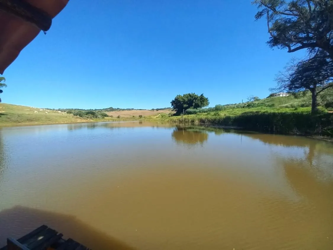 Imagem FAZENDA À VENDA - SANTO ANTÔNIO DO AMPARO (MG) 948 hectares de área total