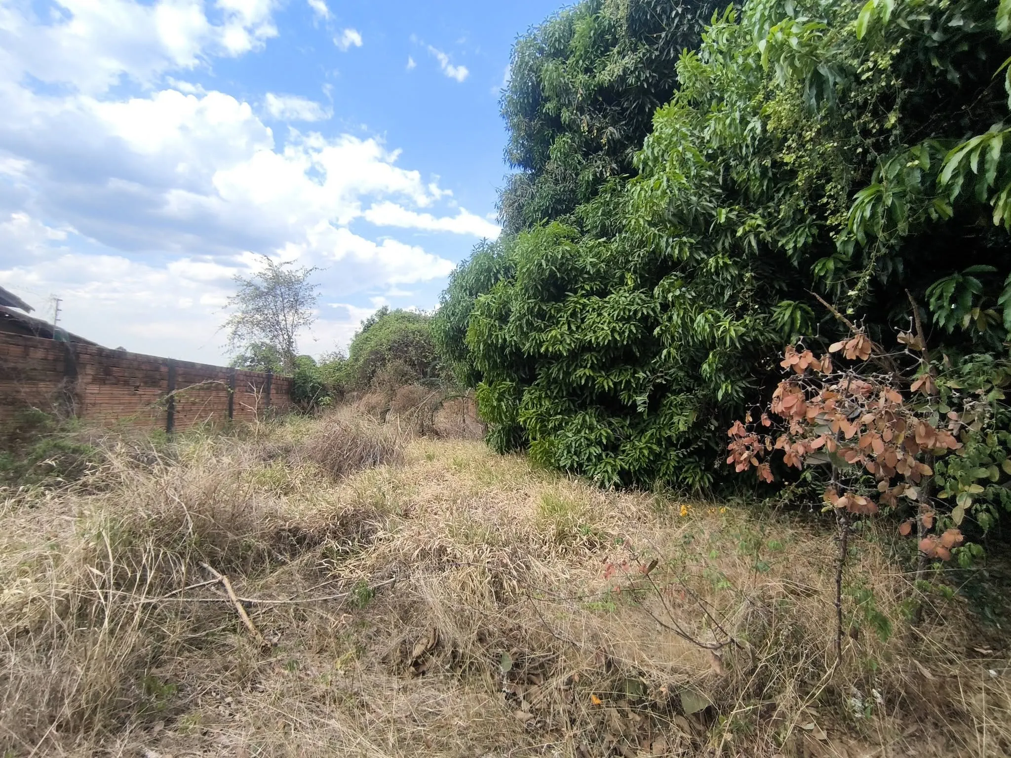 Imagem Lote No Bairro Cardoso Oportunidade