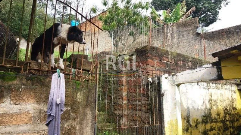 Imagem Terreno para Venda - 0m², 0 dormitórios, Tristeza