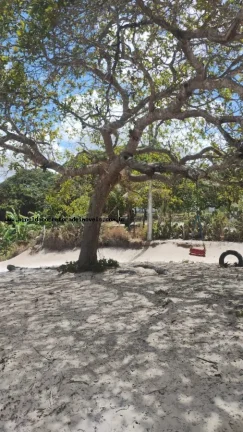 Imagem Granja para Venda em Rio do Fogo, Água Verde