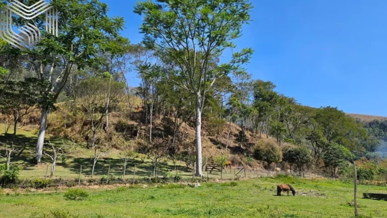 Imagem Sitio de Luxo à Venda em Nova Friburgo-RJ, Amparo: 8 Quartos, 8 Suítes, 12 Salas, 9 Banheiros, 10 Vagas de Garagem, 275.000 m² de Área.