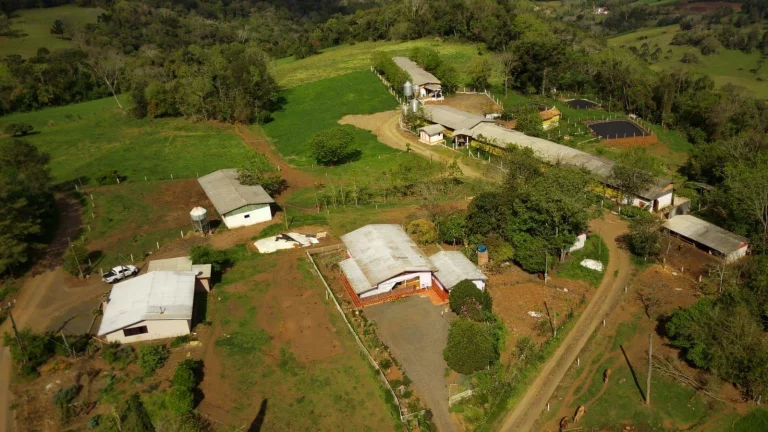 Imagem Granja para Venda em Concórdia, Rural