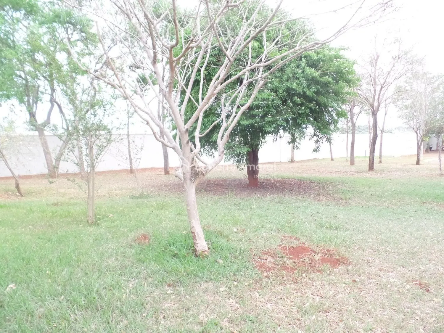 Imagem Sobrado de 4 suítes à venda no Condomínio Villa Franca, Betel, Paulínia.