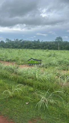 Imagem Fazenda 226 Alqs Dupla aptidão Natividade/TO