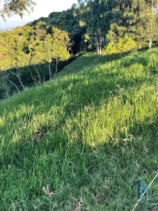 Imagem Sítio lindo a venda em ótima localização linha União da Serra em Guaraniaçu - PR