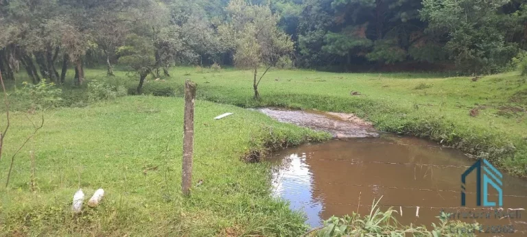 Imagem Chácara oportunidade de Ouro, bem localizada na estrada Cabeça D'anta, Bocaiúva do Sul com 09(nove) alqueires,