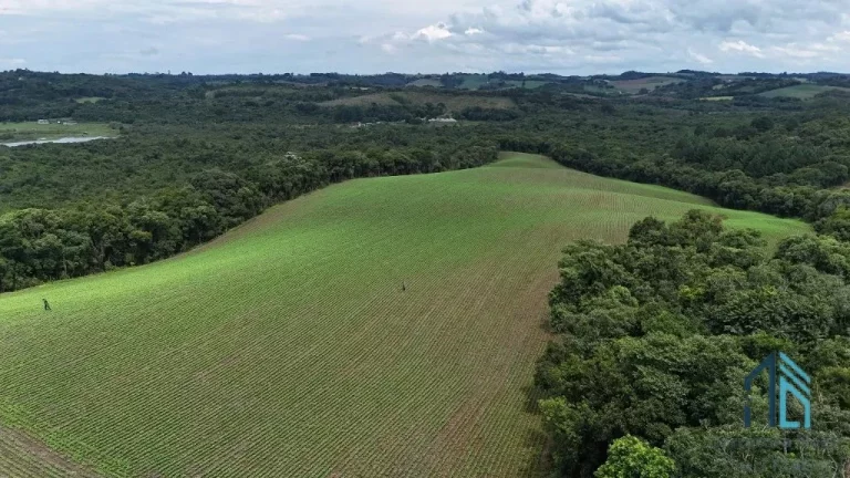 Área com 10 alqueires divisa com Rio Verde em Campo Largo - PR