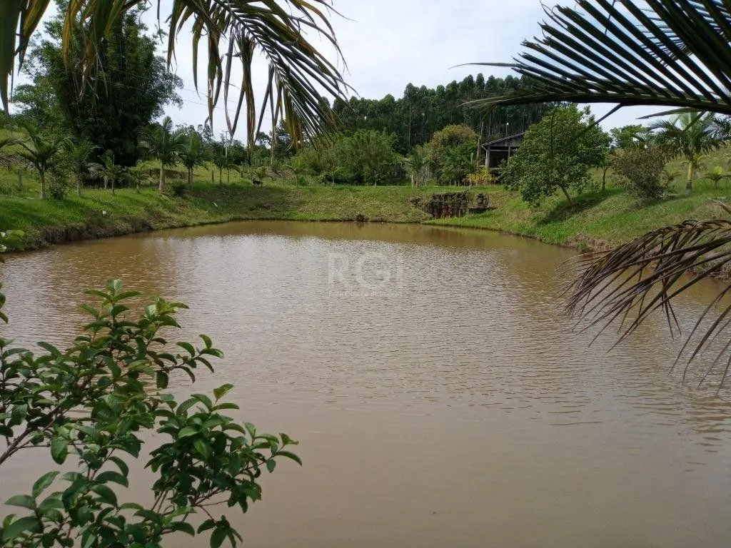 Imagem Boletto Imóveis vende Sitio na RS, Com 7 casas, 2 comerciais, excelente local para vários seguimento fácil acesso , rota para gramado, R$3.900,000,00