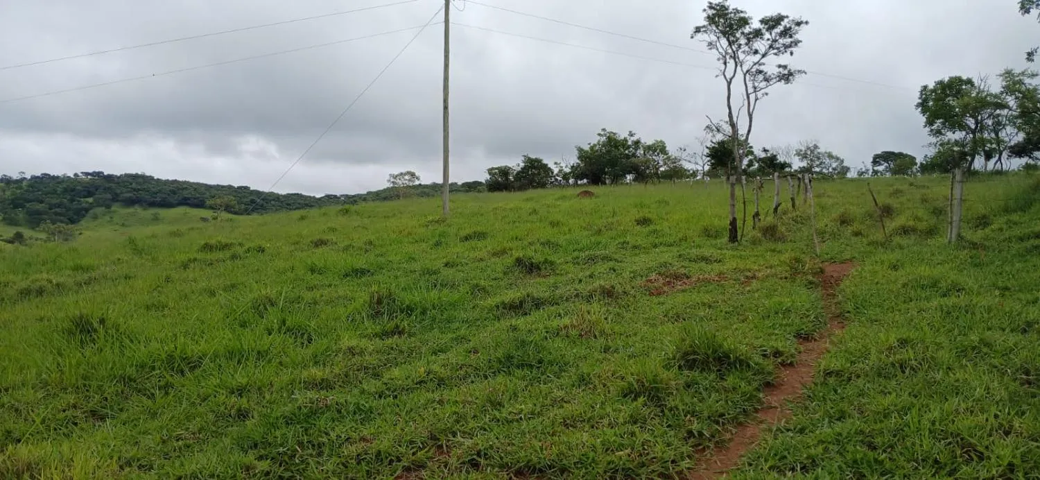 Imagem SÍTIO ESPETACULAR À VENDA EM PASSA TEMPO/MG -- 5,9 hectares de terra