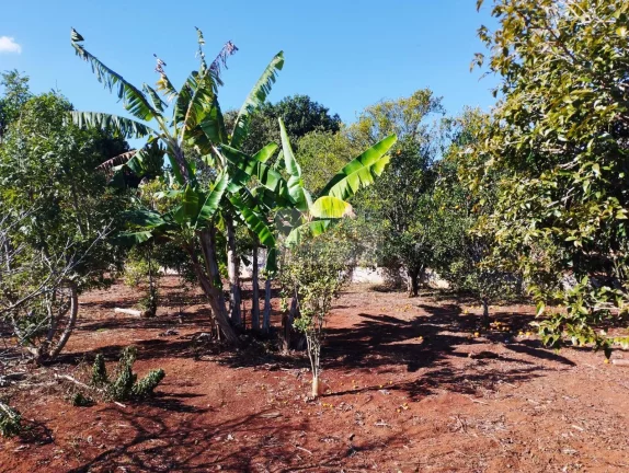 Imagem CHÁCARA JARDIM CANANÉIA