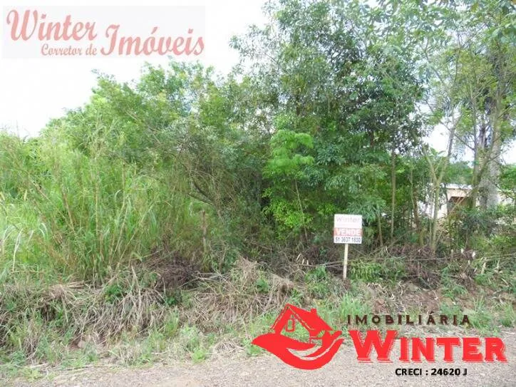 Imagem 4 Terrenos de 360m² cada em Arroio das Pedras/Bom Princípio.