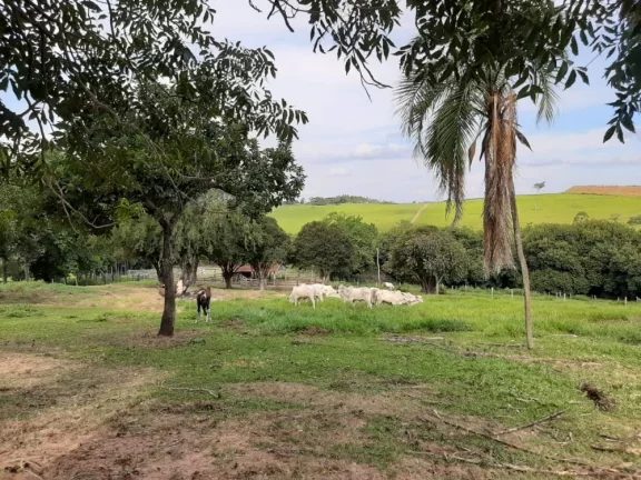 Imagem Fazenda a VENDA, Região Bauru/SP, 41 alqueires