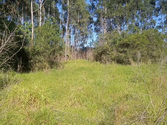 Imagem Excelente Área para Investimento - 29 Hectares, Pimenta, Viamão/RS