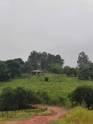 Imagem Sítio de alqueires 1.2 na Prata em Aracatuba tem opção de 4. 5 e de 2.4 alq