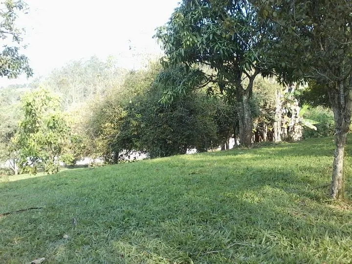 Imagem Chácara com 5 Quartos à Venda, 7.485 m² em Palmeiras De São Paulo - Suzano