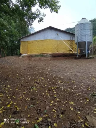 Imagem Área Agrícola para Venda em Lindóia do Sul, Interior