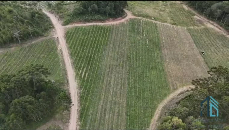 Imagem - Fazenda, Vinícola, Sítio, A VENDA, próximo ao centro de São Joaquim SC