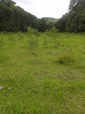 Imagem [Vendo Sítio em Brazópolis] [7 hectares com córrego d'água]