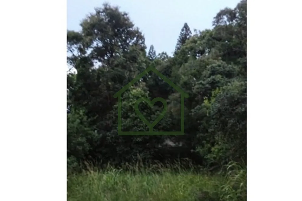 Imagem Excelente oportunidade para quem busca qualidade de vida e contato com a natureza! Este terreno estÃ...
