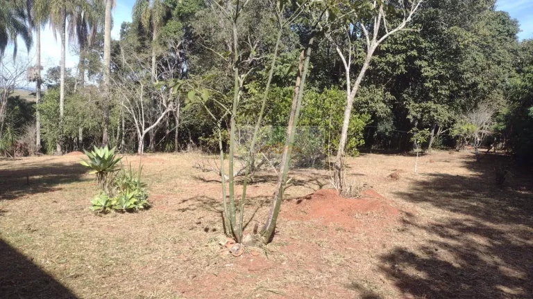 Imagem CHÁCARA REUNIDAS PILAR DO SUL