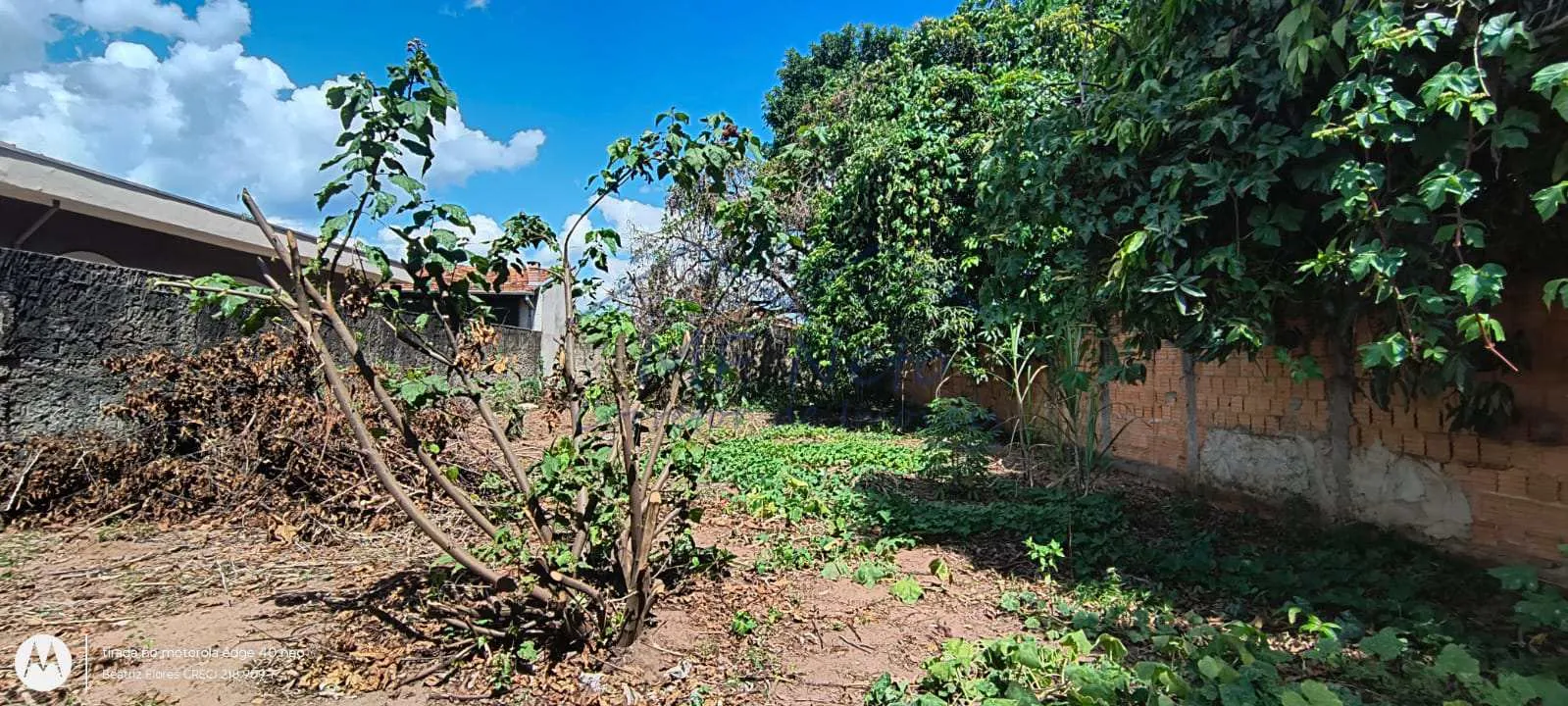 Imagem Terreno Padrão