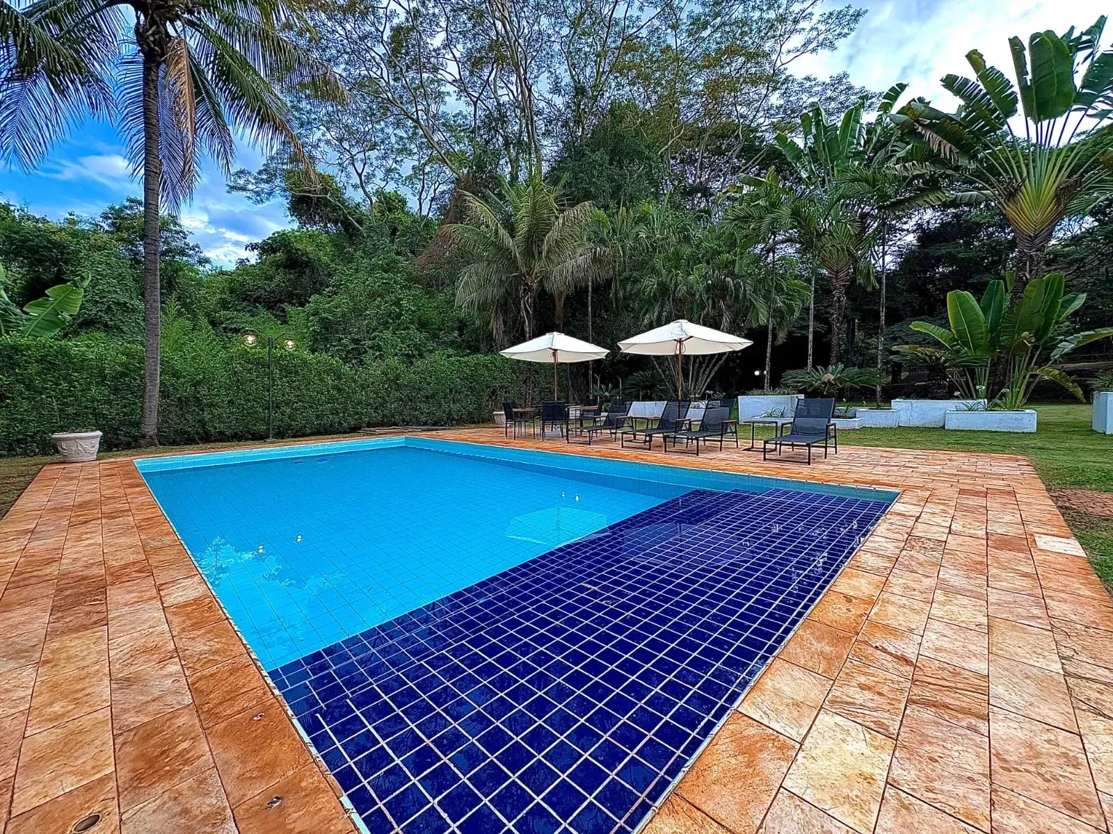 Imagem Chácara à Venda, 24000 m² em  - Ribeirão Preto