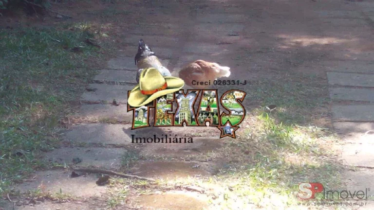 Imagem CHACARA SERRA NEGRA PARA VENDA