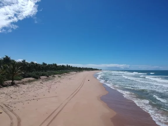 Imagem Paraíso frente mar
