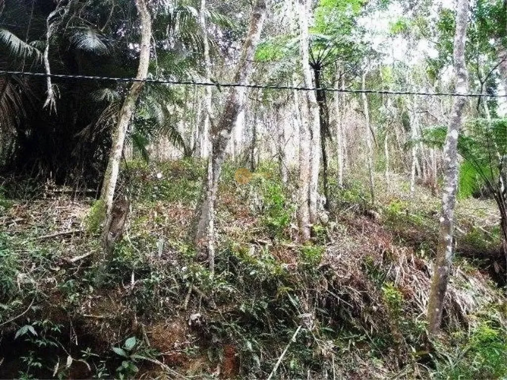 Imagem Terreno para Venda em Teresópolis / RJ no bairro Albuquerque