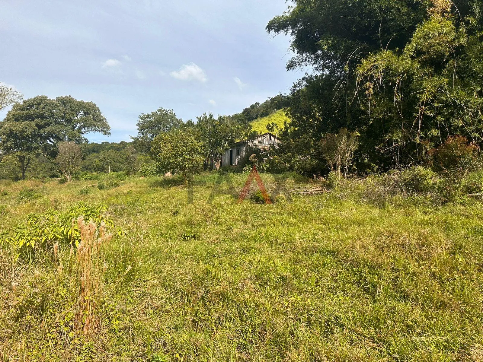 Imagem Ótima Chácara a venda 10 alqueires a 6 Km da cidade de Cantagalo