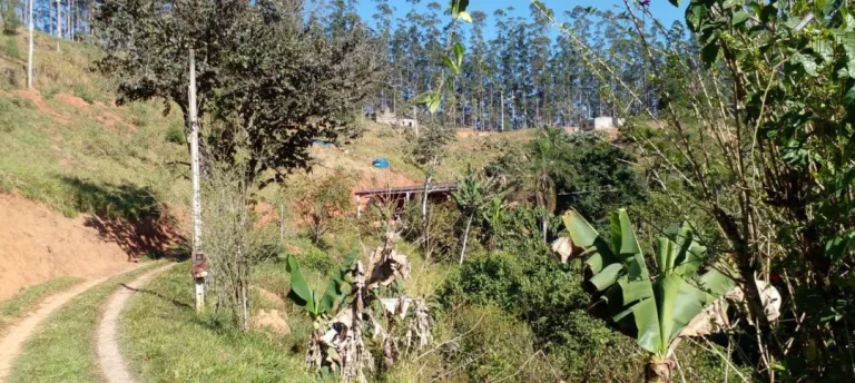 Imagem Chácara à venda em São José dos Campos, Vila Paiva