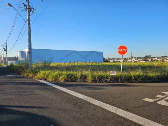 Imagem Terreno Padrão