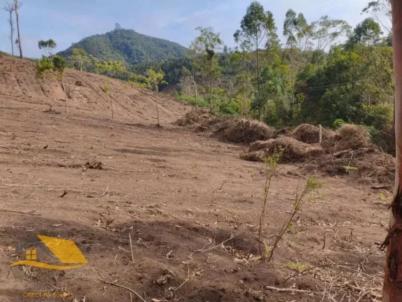Foto do imóvel Vendo Àrea Rural a partir de 10 mil mts², Boa Topografia, Com RGI em Rua Feliciano Benedito da Costa