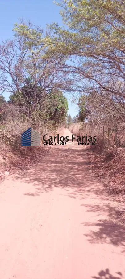 Imagem Chácara para Venda em Brasília, Setor Habitacional Jardim Botânico