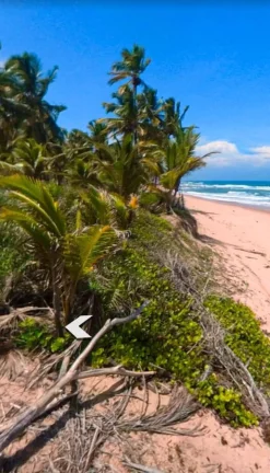 Imagem SÍTIO FRENTE MAR - MM