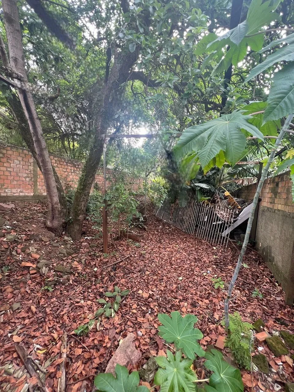 Imagem Terreno em Cristal