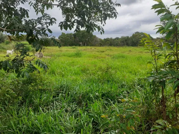Imagem Fazenda à Venda,  em zona rural - Salvaterra